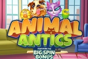Animal Antics
