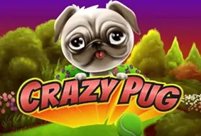 Crazy Pug